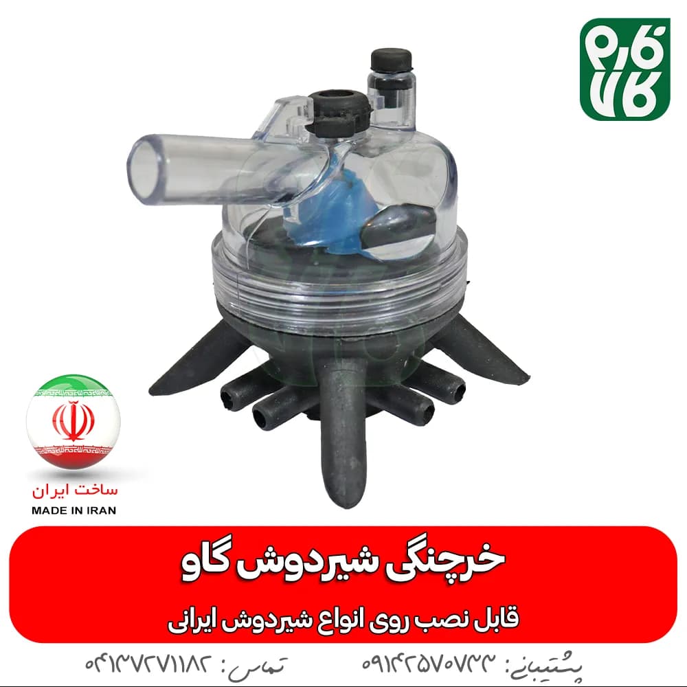 خرچنگی ایرانی شیردوش گاوی — تصویر ۳