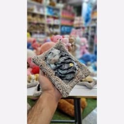 عروسک گربه بالشتی موزیکال داشبوردی — تصویر ۶