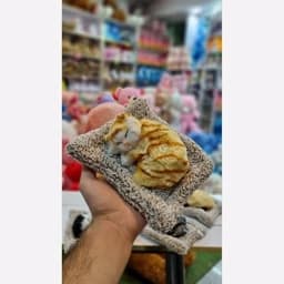 عروسک گربه بالشتی موزیکال داشبوردی — تصویر ۴