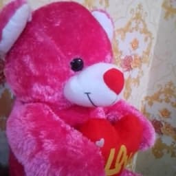 عروسک خرس شاسخین لاو love ( ارتفاع حدود 80 ) — تصویر ۵