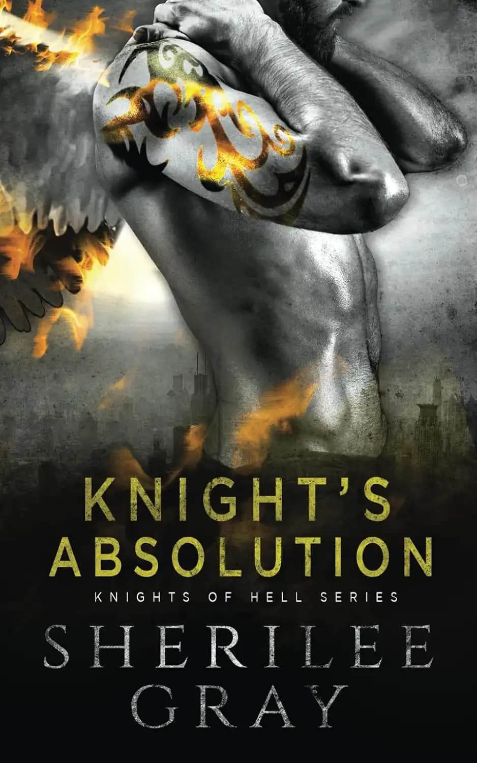 کتاب بخشش شوالیه (Knight’s Absolution) نسخه انگلیسی PDF | شریلی گری