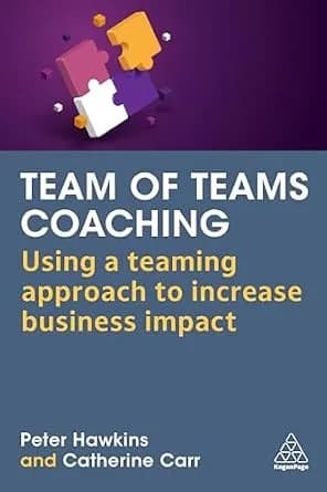 و دانلود نسخه کامل کتاب زبان اصلی Team of Teams Coaching: Using a Teaming Approach to Increase Business Impact | دانلود کتاب خارجی