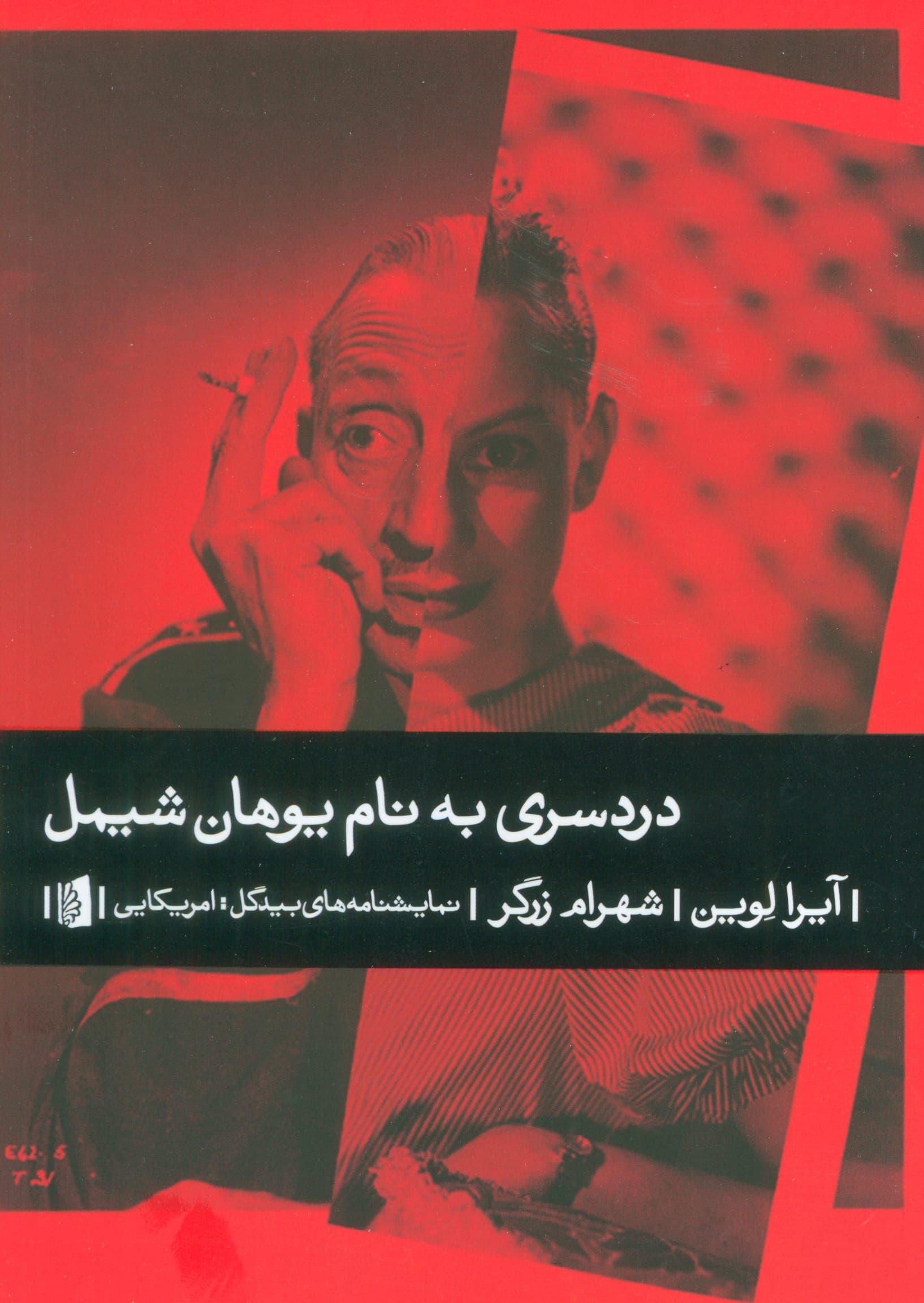 دردسری به نام یوهان شیمل (شمیز،رقعی،بیدگل)