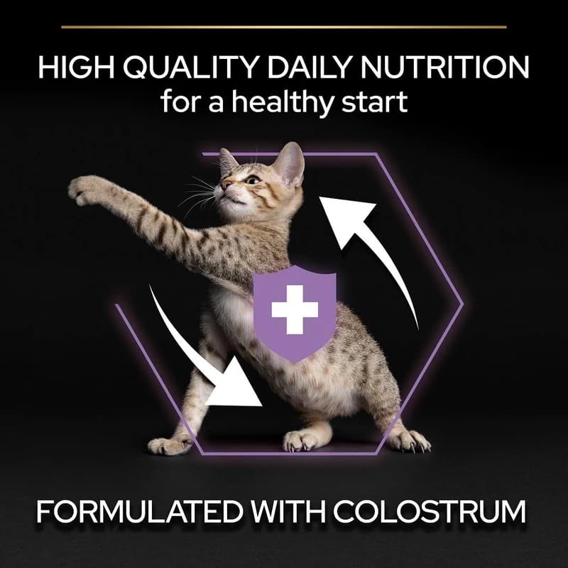 غذای خشک بچه گربه پروپلن کیتن طعم مرغ Purina Kitten وزن 1.5 کیلوگرم — تصویر ۴