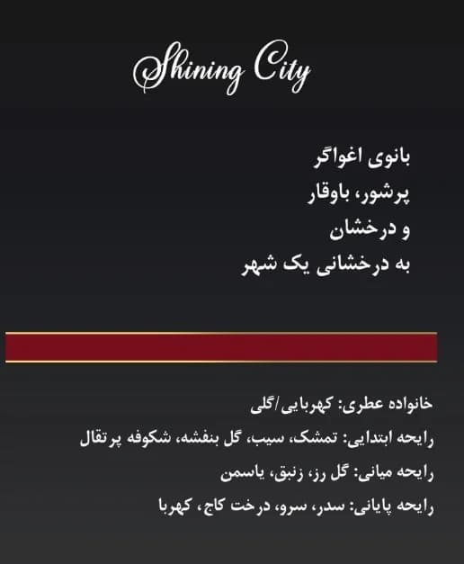 ادوپرفیوم شاینینگ سیتی کوردوبا زنانه مدل Shining City حجم 100 میل — تصویر ۶