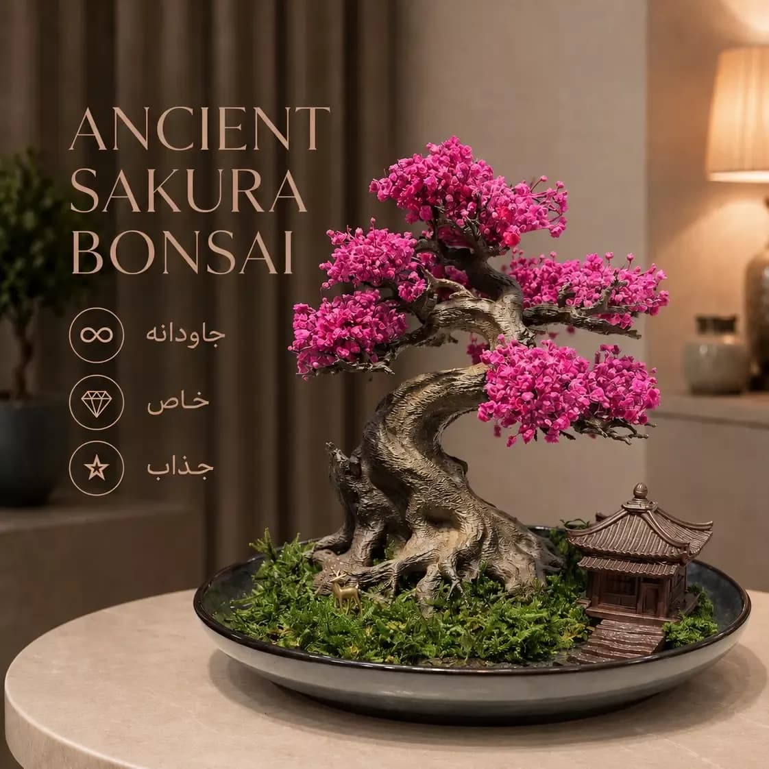 بونسای ساکورا کهنسال