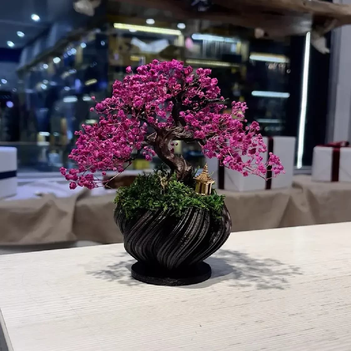 بونسای ساکورا کوچک — تصویر ۲