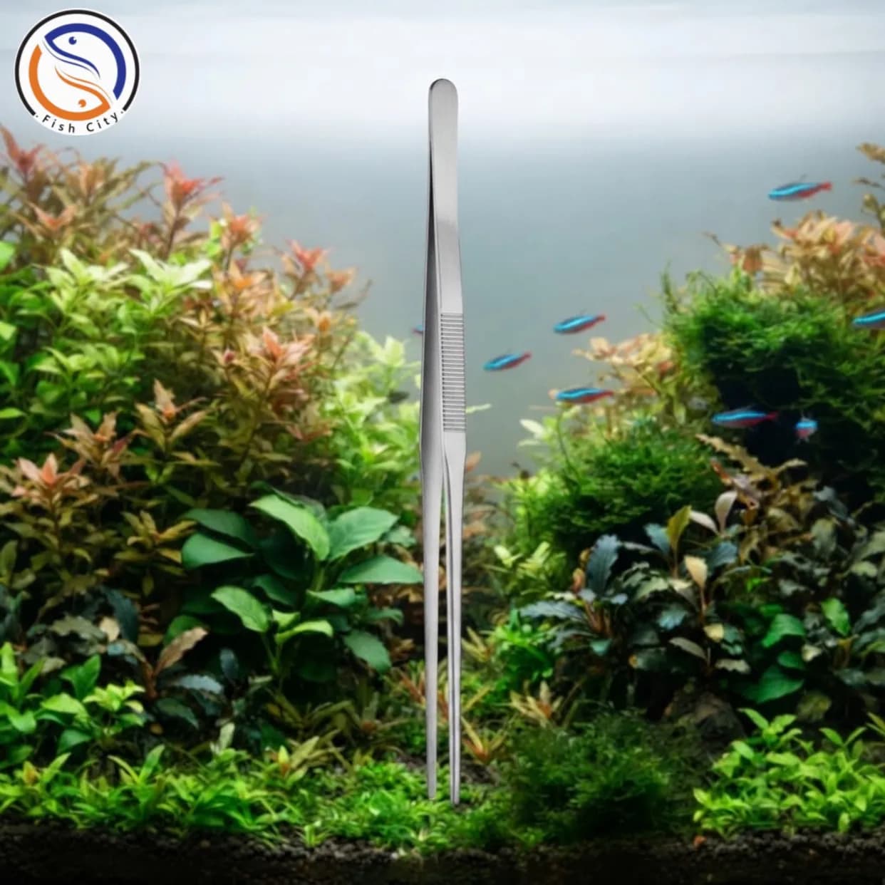 پنس سر صاف اکواریوم 30 سانتی