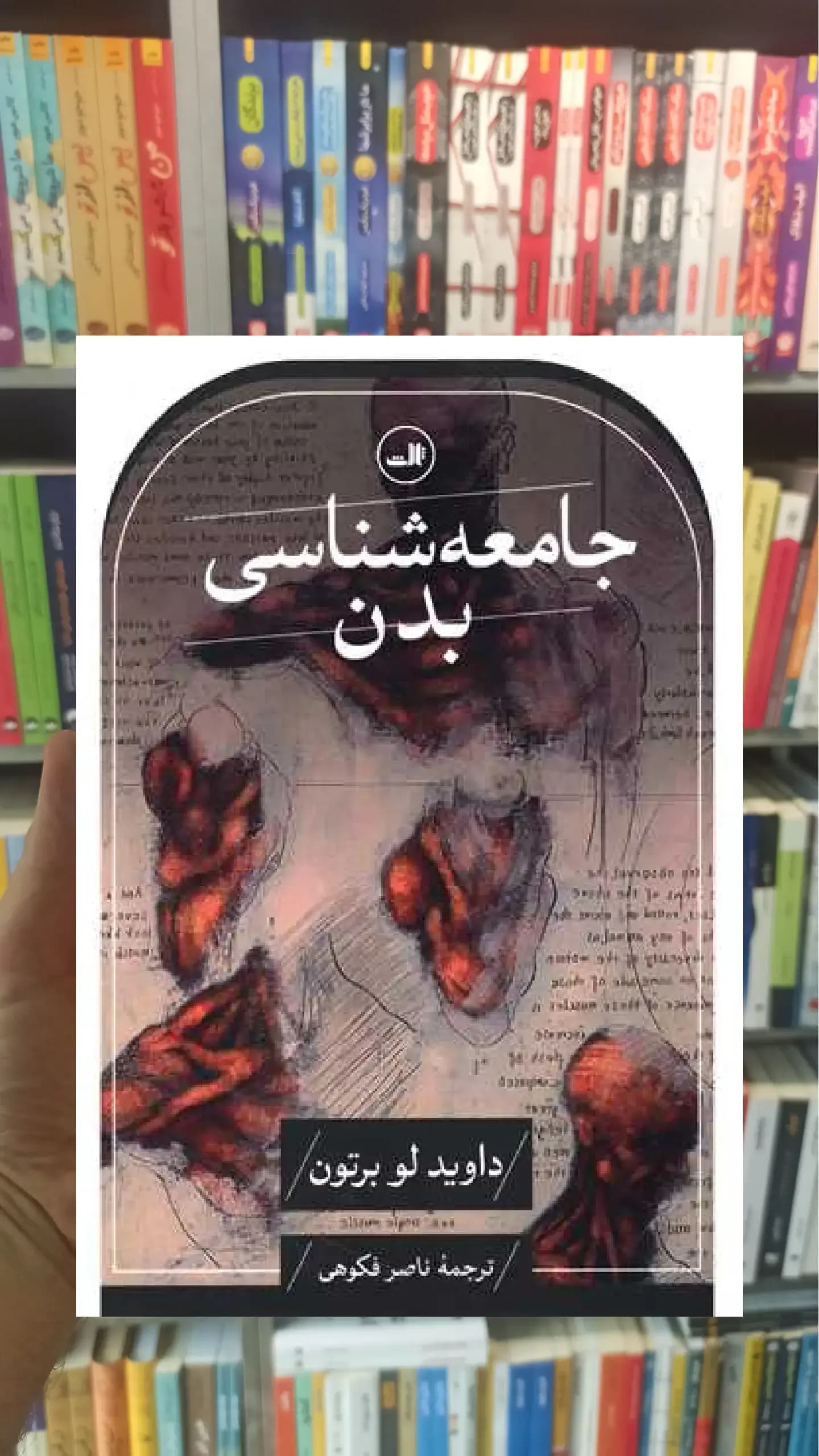 جامعه شناسی بدن ثالث