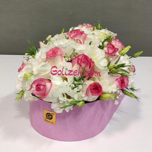 باکس نوزاد مفرح