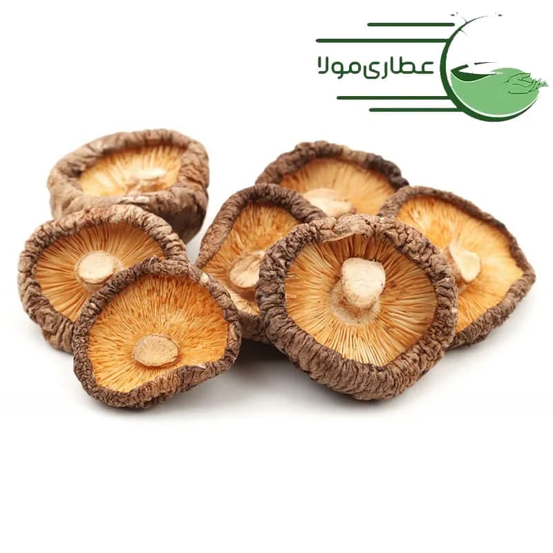قارچ شیتاکه خشک وارداتی