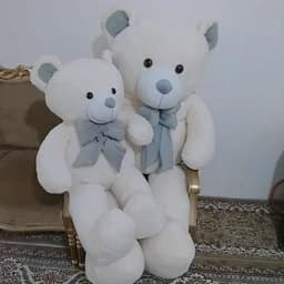 عروسک خرس ، شاسخین خرسی — تصویر ۳