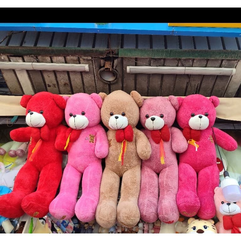 عروسک خرس ، شاسخین خرسی