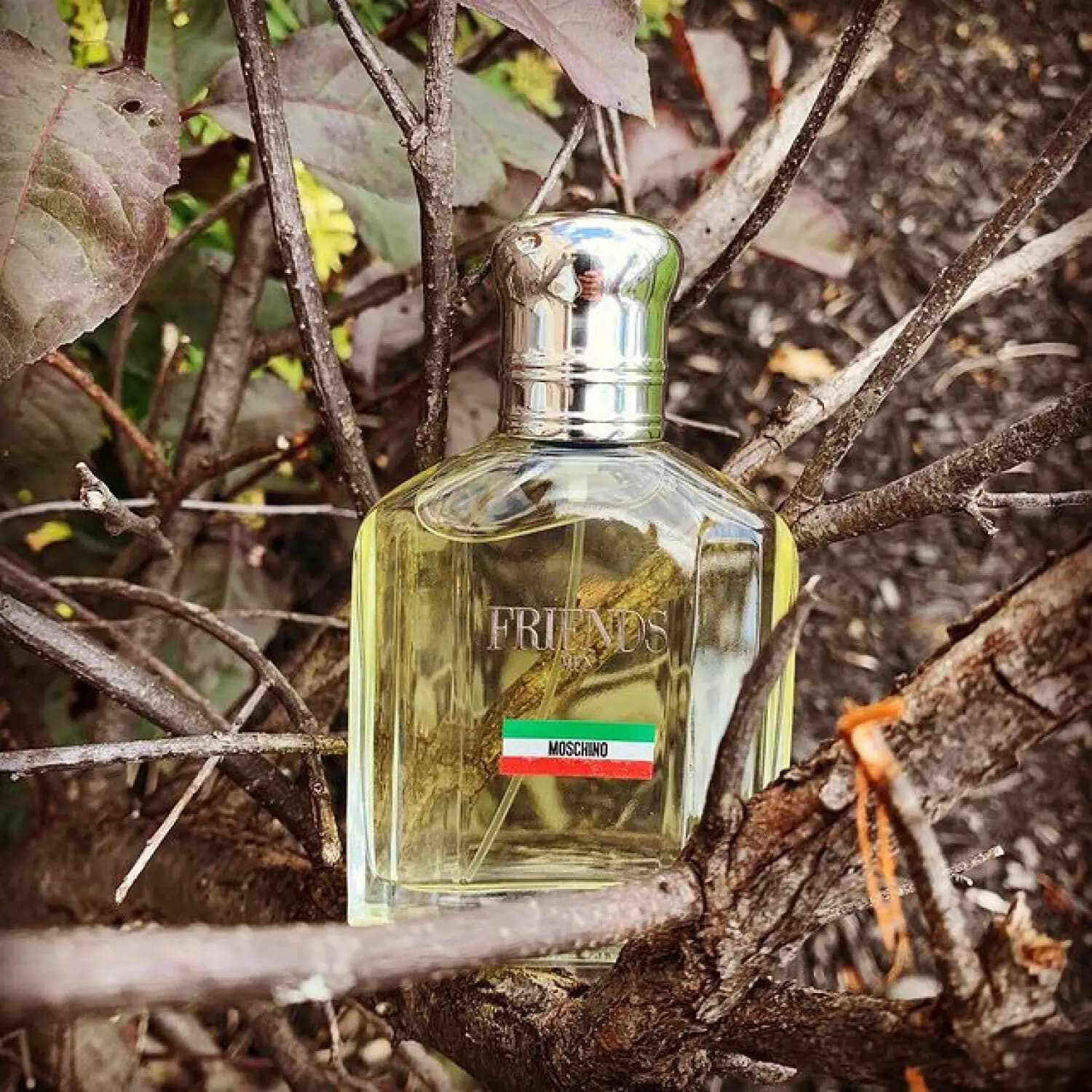 عطر ادکلن موسچینو فرندز من اصل | Moschino Friends Men — تصویر ۴
