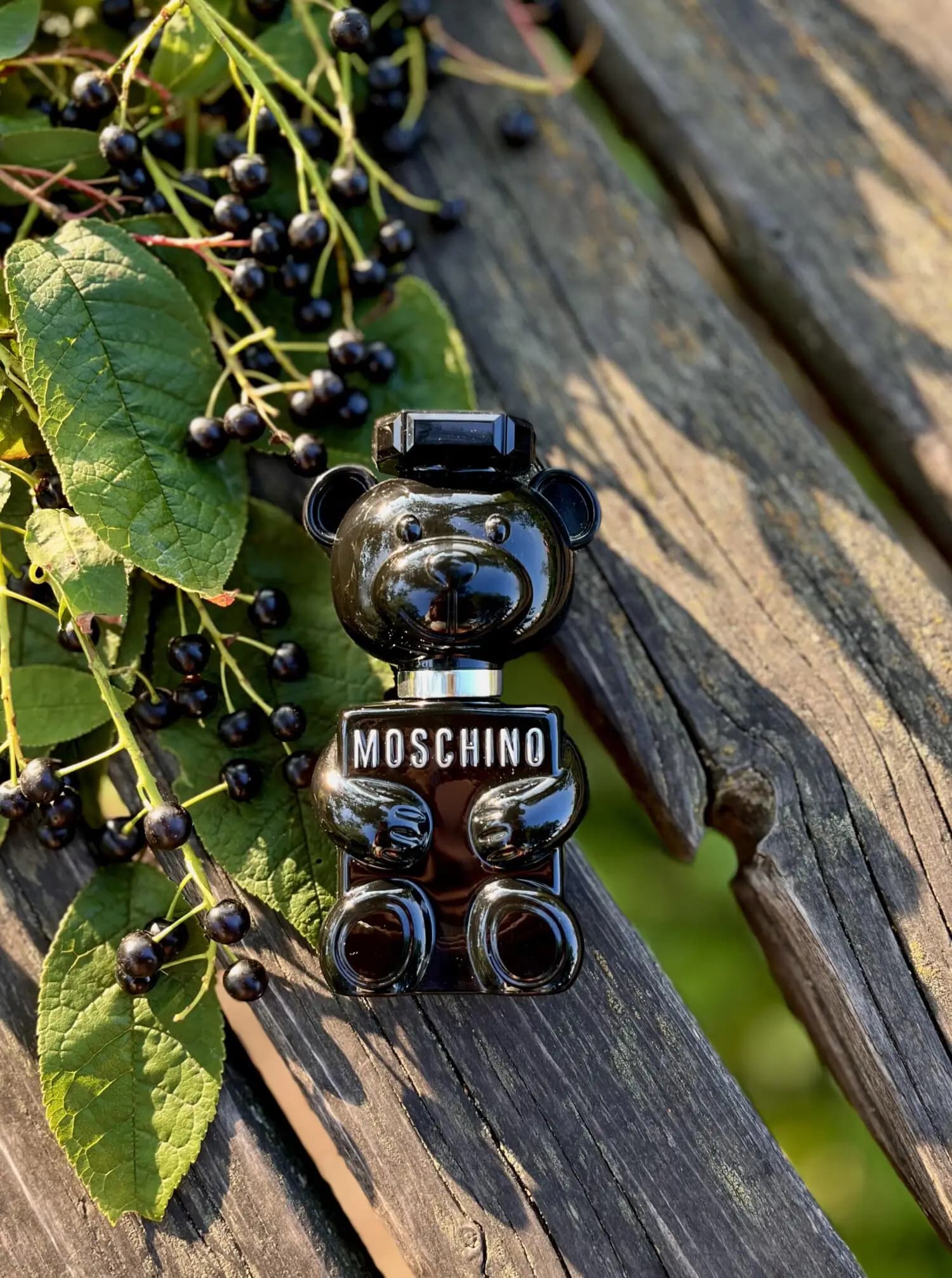 عطر ادکلن موسچینو توی بوی اصل | Moschino Toy Boy — تصویر ۵