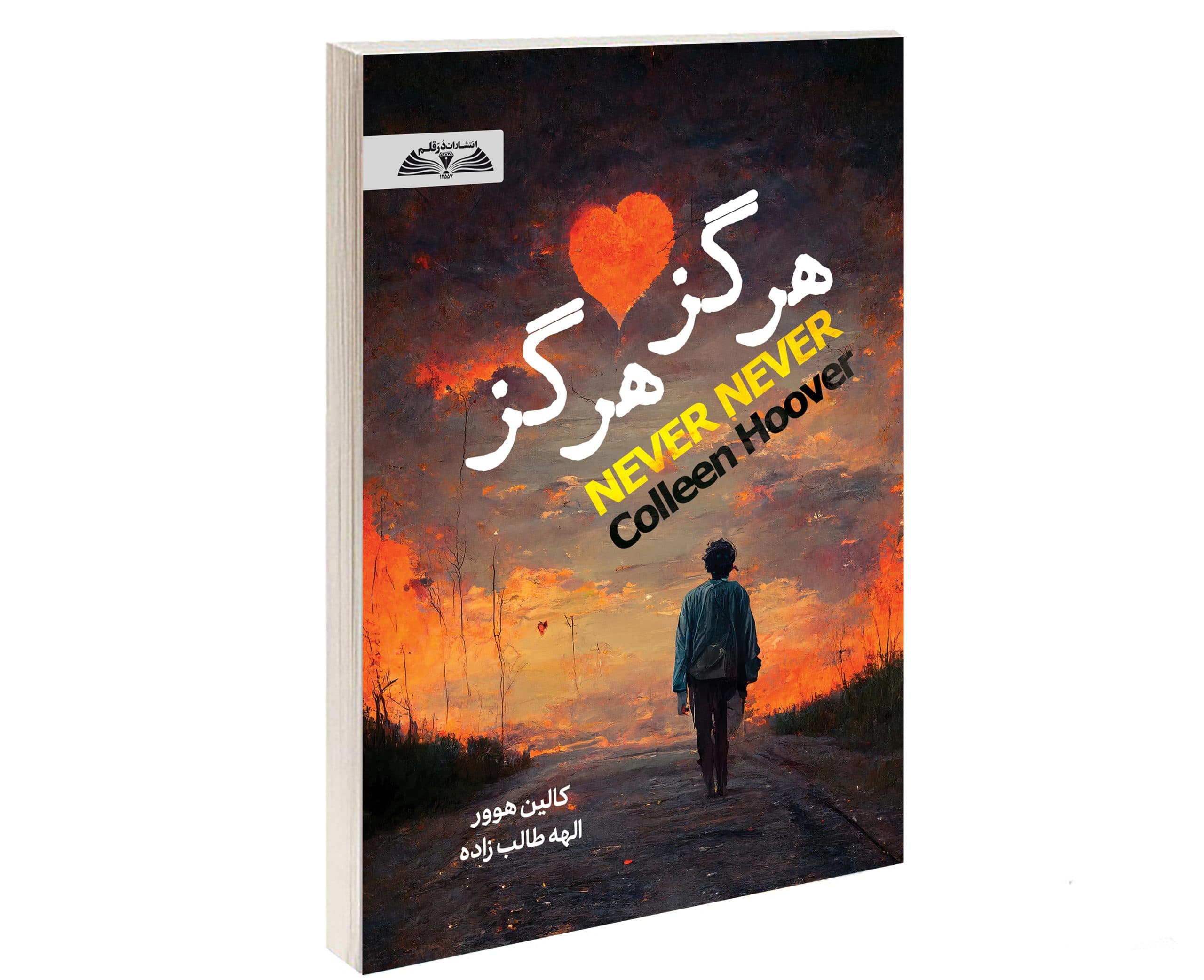 کتاب هرگز هرگز — تصویر ۲