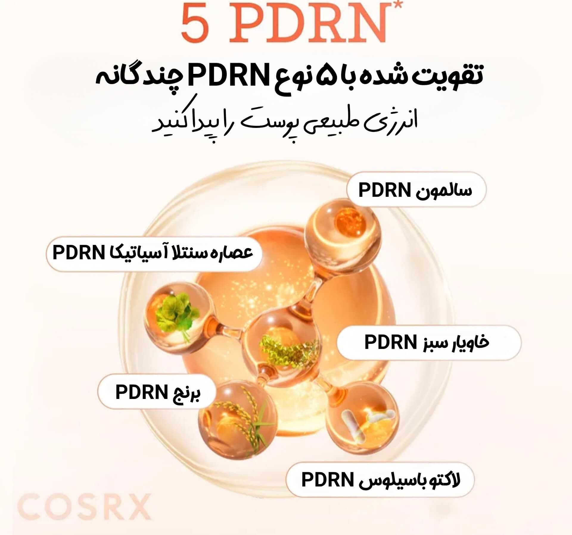 تونر احیا کننده و درخشان کننده ویتال سوتینگ PDRN5 کوزارکس — تصویر ۲