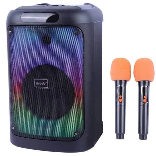 اسپیکر بلوتوثی برودو BTS-2102 + میکروفون