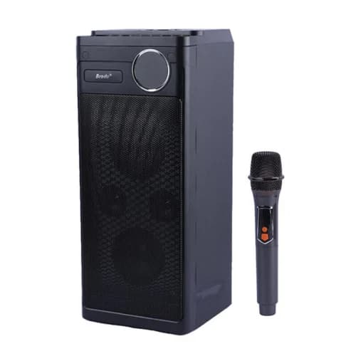 اسپیکر بلوتوثی برودو BTS-2243 + میکروفون