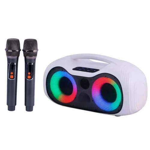 اسپیکر بلوتوثی برودو BTS-2313 + میکروفون پک ضعیف