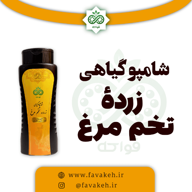 شامپو زرده تخم مرغ خیراندیش