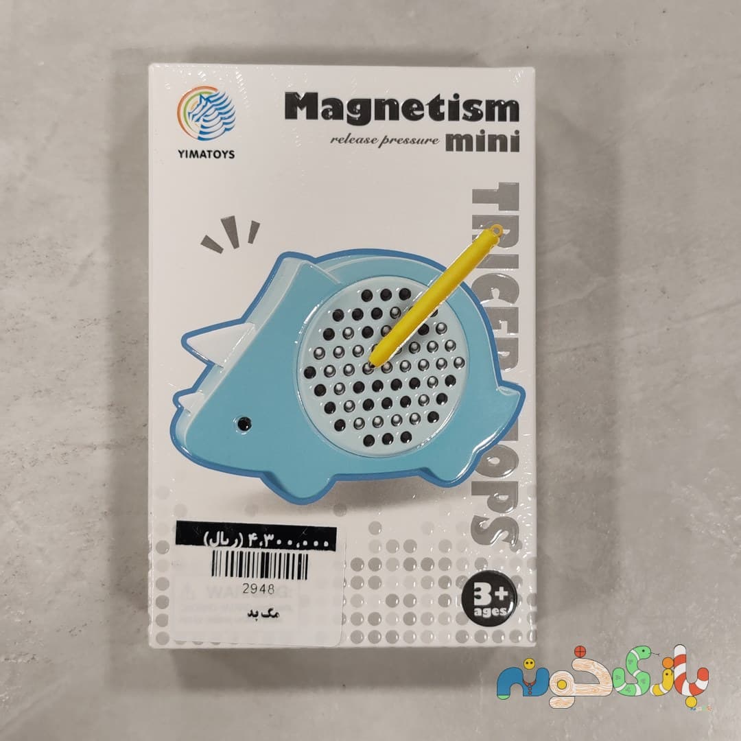 لم و تخته آهنربایی مگنتی Magnetism بازی فکری کودک — تصویر ۳