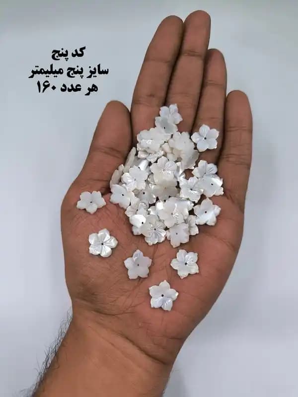 خرجکار صدف درجه یک کد 1902 — تصویر ۵
