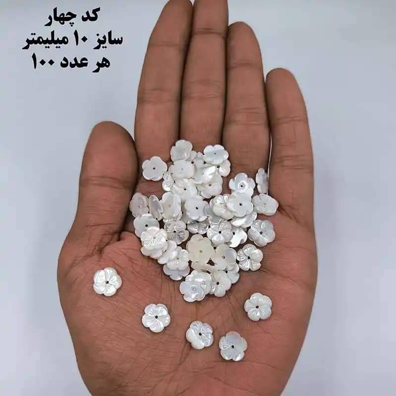 خرجکار صدف درجه یک کد 1902 — تصویر ۴