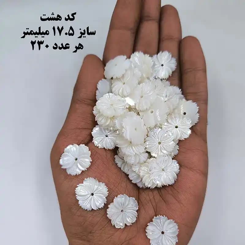 خرجکار صدف درجه یک کد 1902 — تصویر ۸
