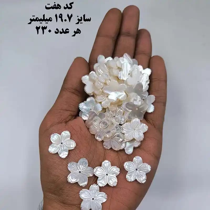 خرجکار صدف درجه یک کد 1902 — تصویر ۷