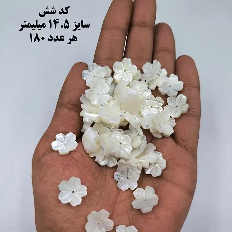 خرجکار صدف درجه یک کد 1902 — تصویر ۶