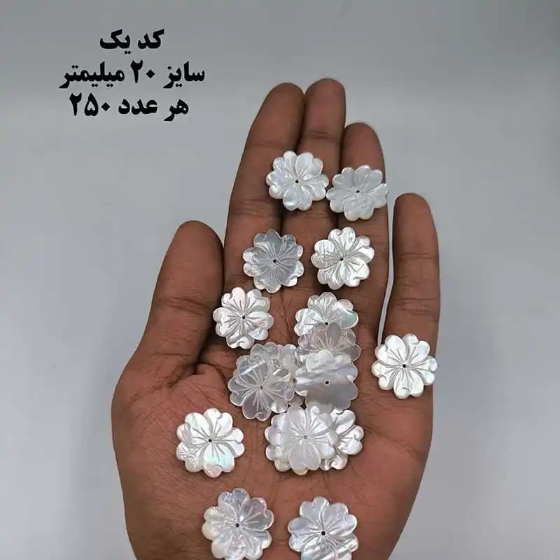 خرجکار صدف درجه یک کد 1902