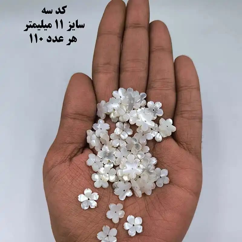 خرجکار صدف درجه یک کد 1902 — تصویر ۳