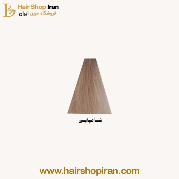 رنگ مو پروکسا کد رنگ (F18) رنگ شامپاینی — تصویر ۲