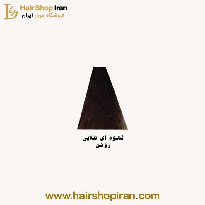 رنگ مو پروکسا کد رنگ (5/3) رنگ قهوه ای طلایی روشن — تصویر ۲