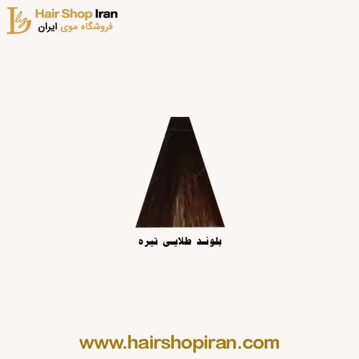 رنگ مو پروکسا کد رنگ (6/3) رنگ بلوند طلایی تیره — تصویر ۲