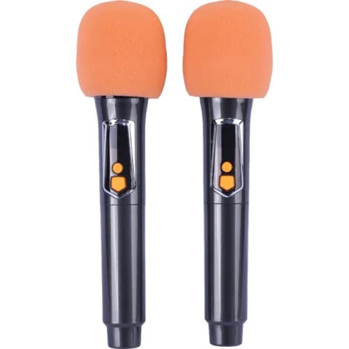 اسپیکر چمدانی بلوتوثی برودو BTS-2291 + میکروفون و ریموت کنترل — تصویر ۶