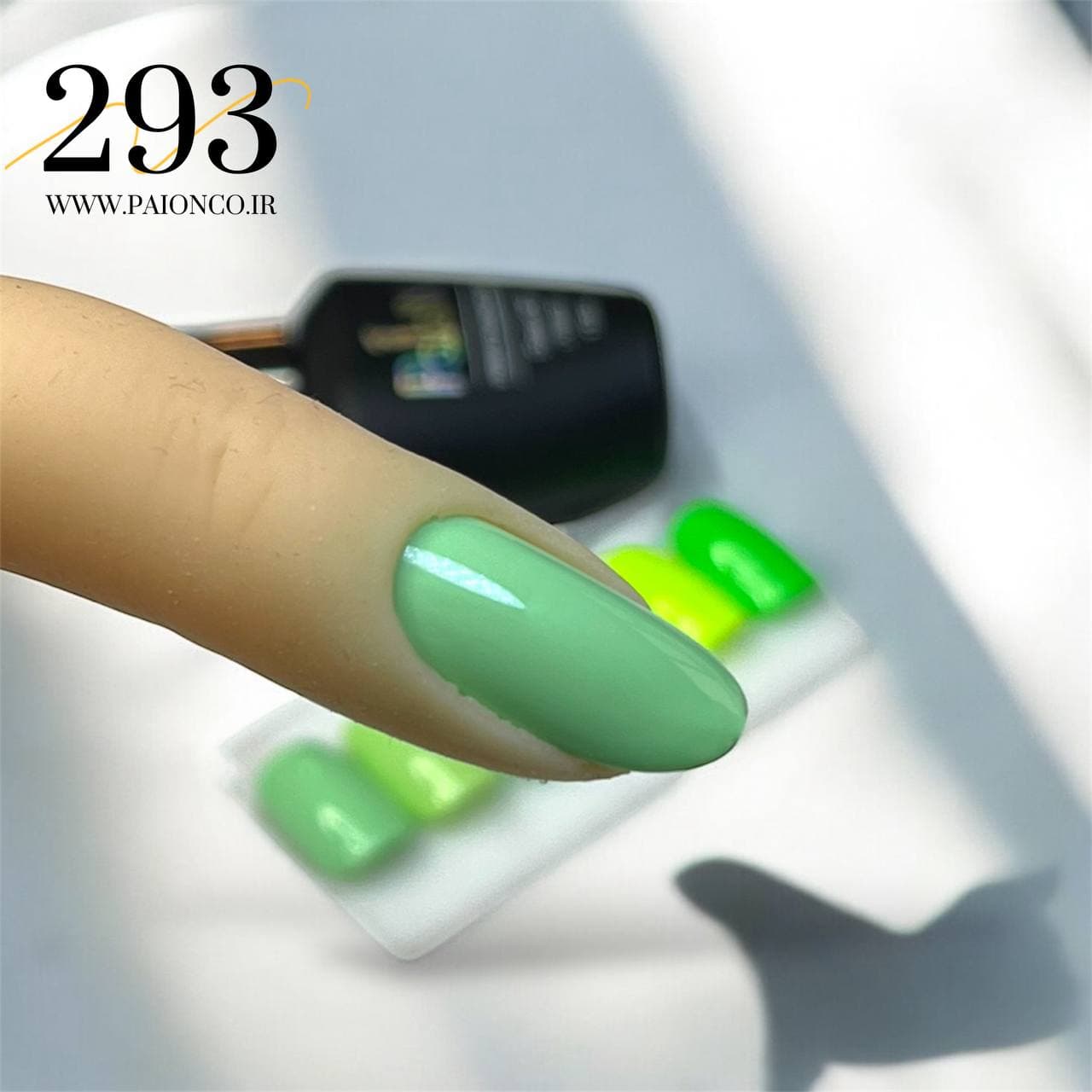 لاک ژل نرمال پایون کد 293 — تصویر ۲