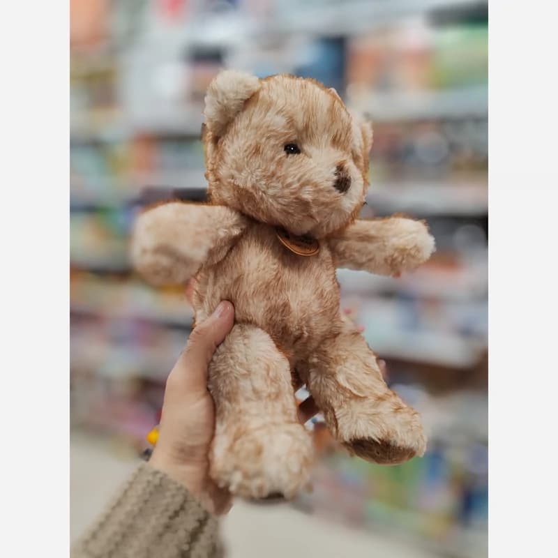 عروسک پولیشی خرس پرز دار خاص دو رنگ وارداتی — تصویر ۳