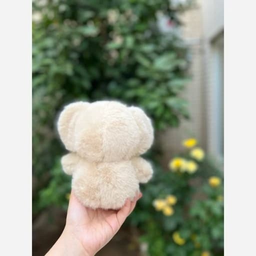 عروسک پولیشی کوالا چشم تیله ای پاپیون وارداتی — تصویر ۵