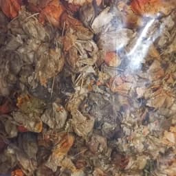 عروسک پشت پرده .کاکنج — تصویر ۳