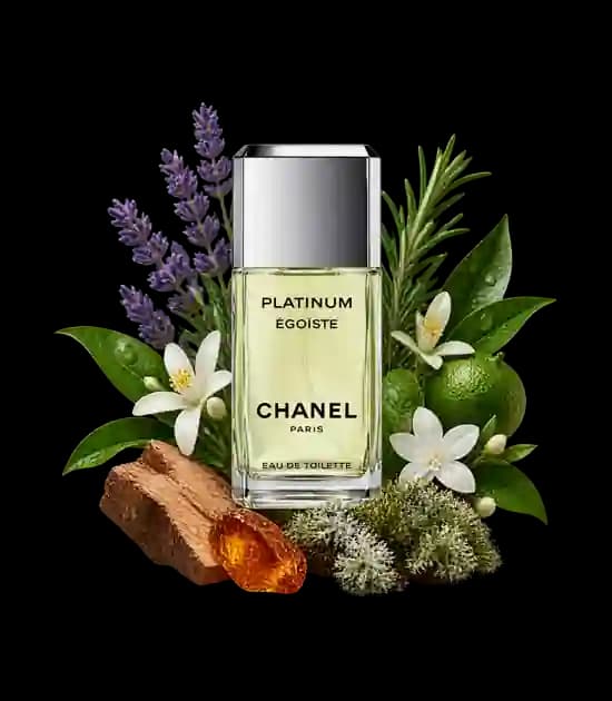عطر شنل پلاتینیوم | Chanel Platinum Égoïste — تصویر ۲