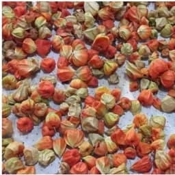 عروسک پشت پرده یا کاکنج 200 گرمی اعلا — تصویر ۲
