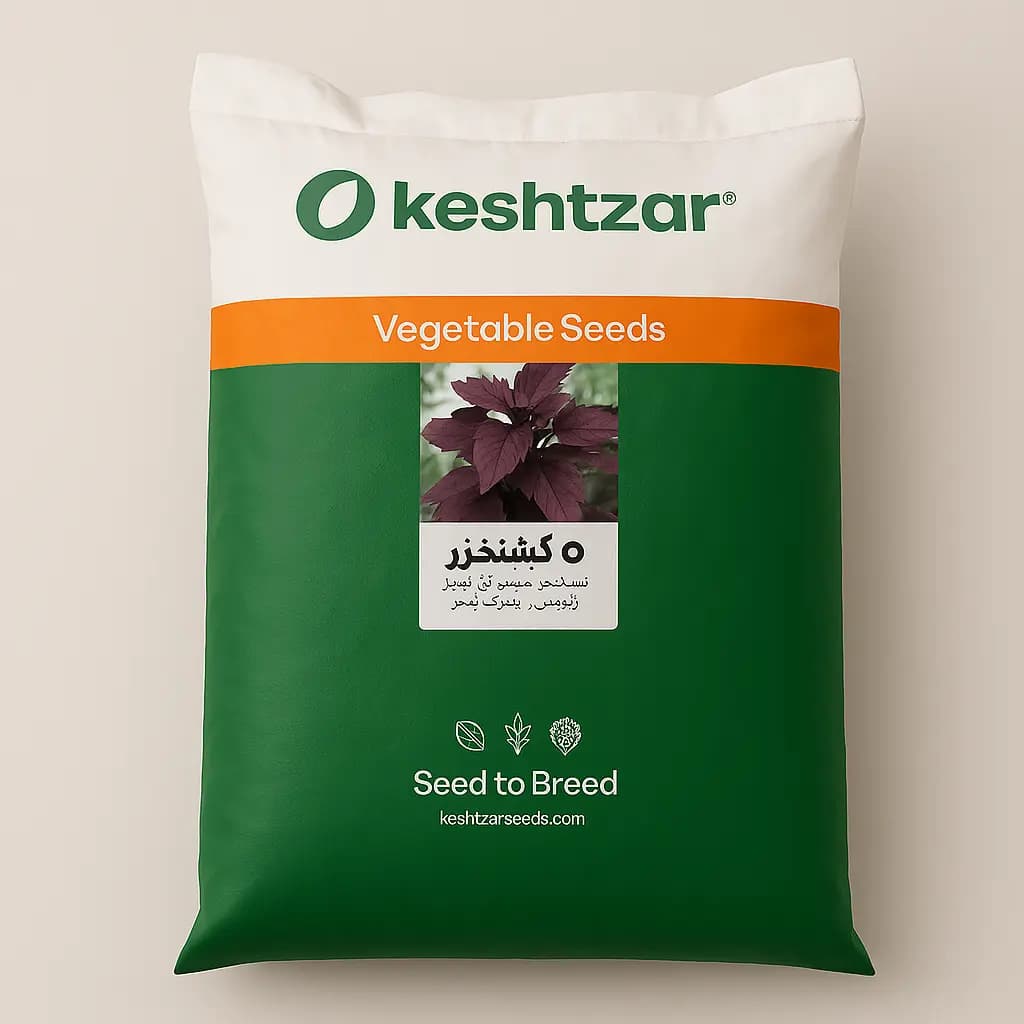 بذر ریحان بنفش کشتزار