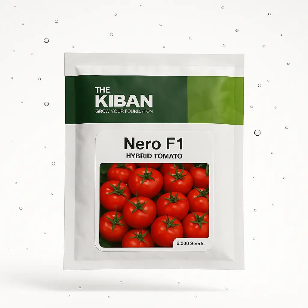 بذر گوجه فرنگی نرو (nero)