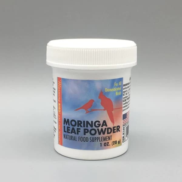 پودر مورینگا MORINGA مورنینگ برد