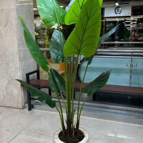 درختچه مصنوعی باباآدم 170 سانتی متر