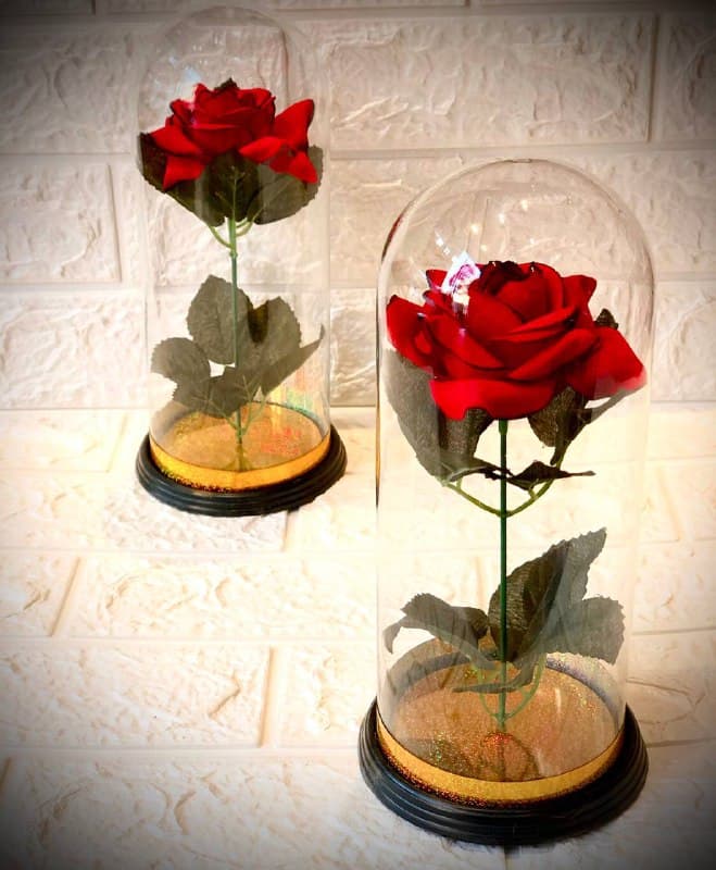 گل جاودانه فلاکسی