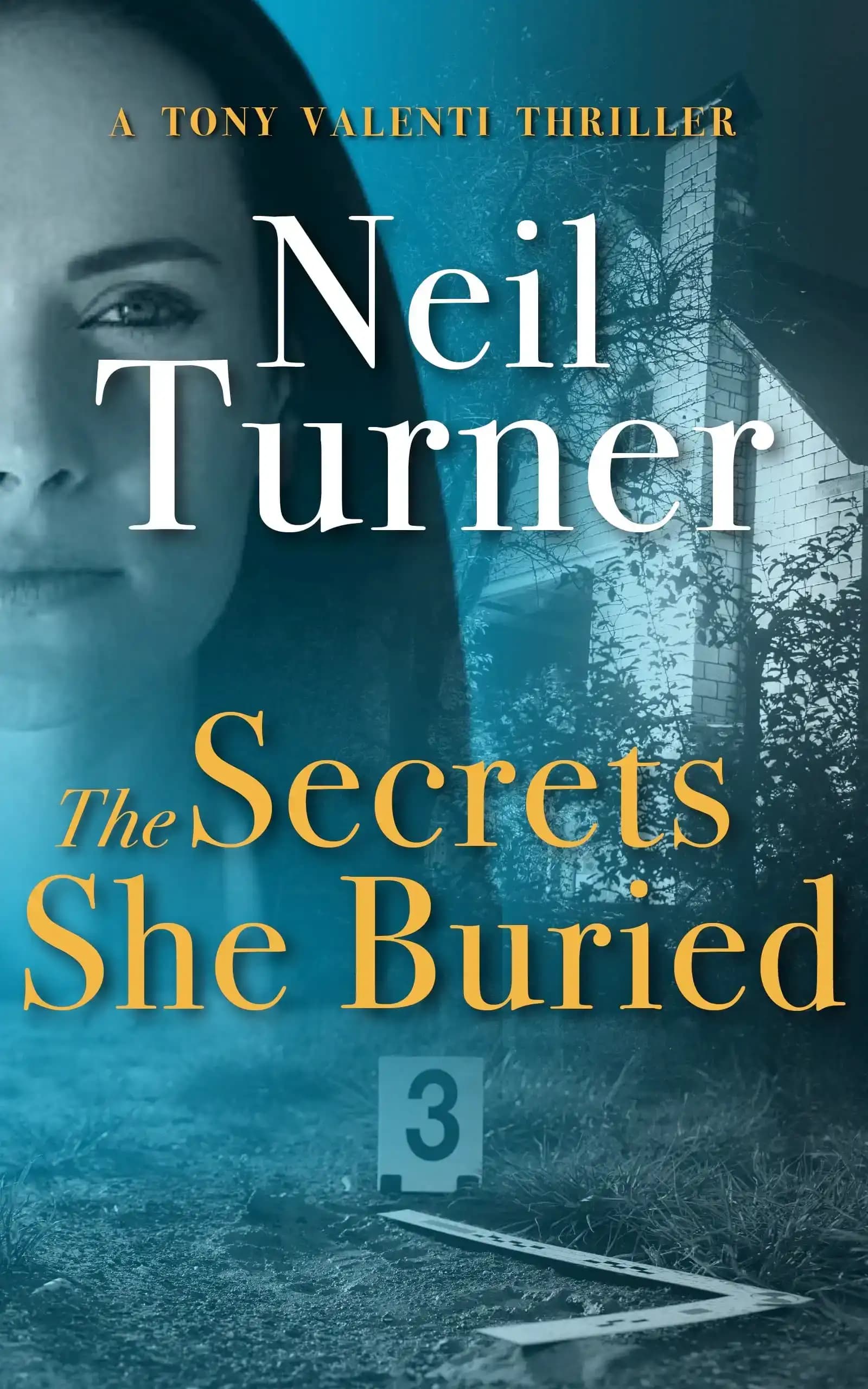 کتاب رازهایی که او دفن کرد (The Secrets She Buried) نسخه انگلیسی PDF | نیل ترنر