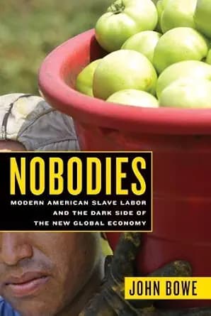 و دانلود نسخه کامل کتاب زبان اصلی Nobodies: Modern American Slave Labor and the Dark Side of the New Global Economy | دانلود کتاب خارجی